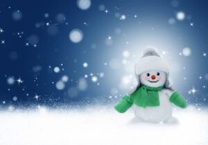 Festa, tallers i concurs ninots de neu!